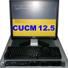 Dell R620 - 32GB RAM - 500 GB HD w/ CUCM 12.0